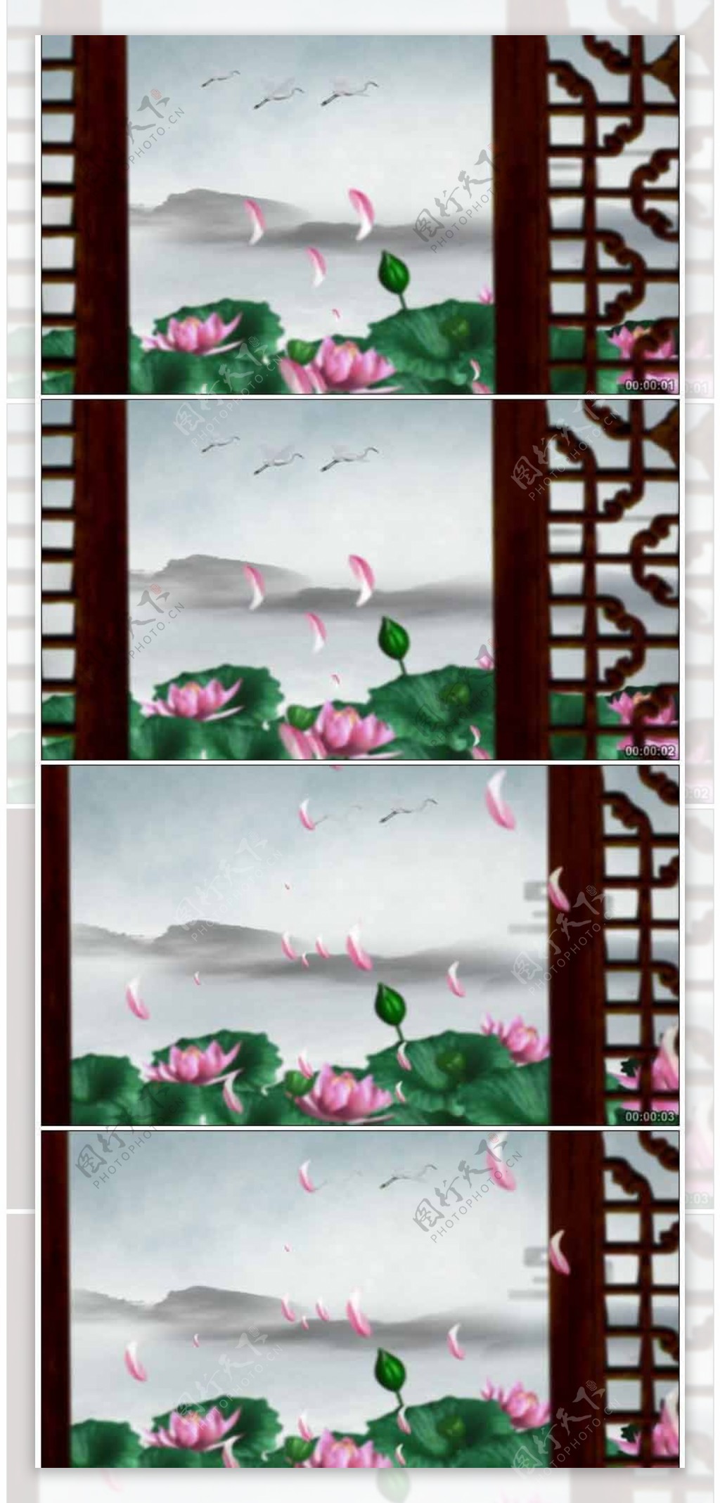 水墨仙境花瓣飘落高清动态视频素