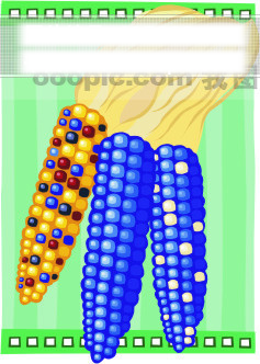 感恩节主题矢量图121