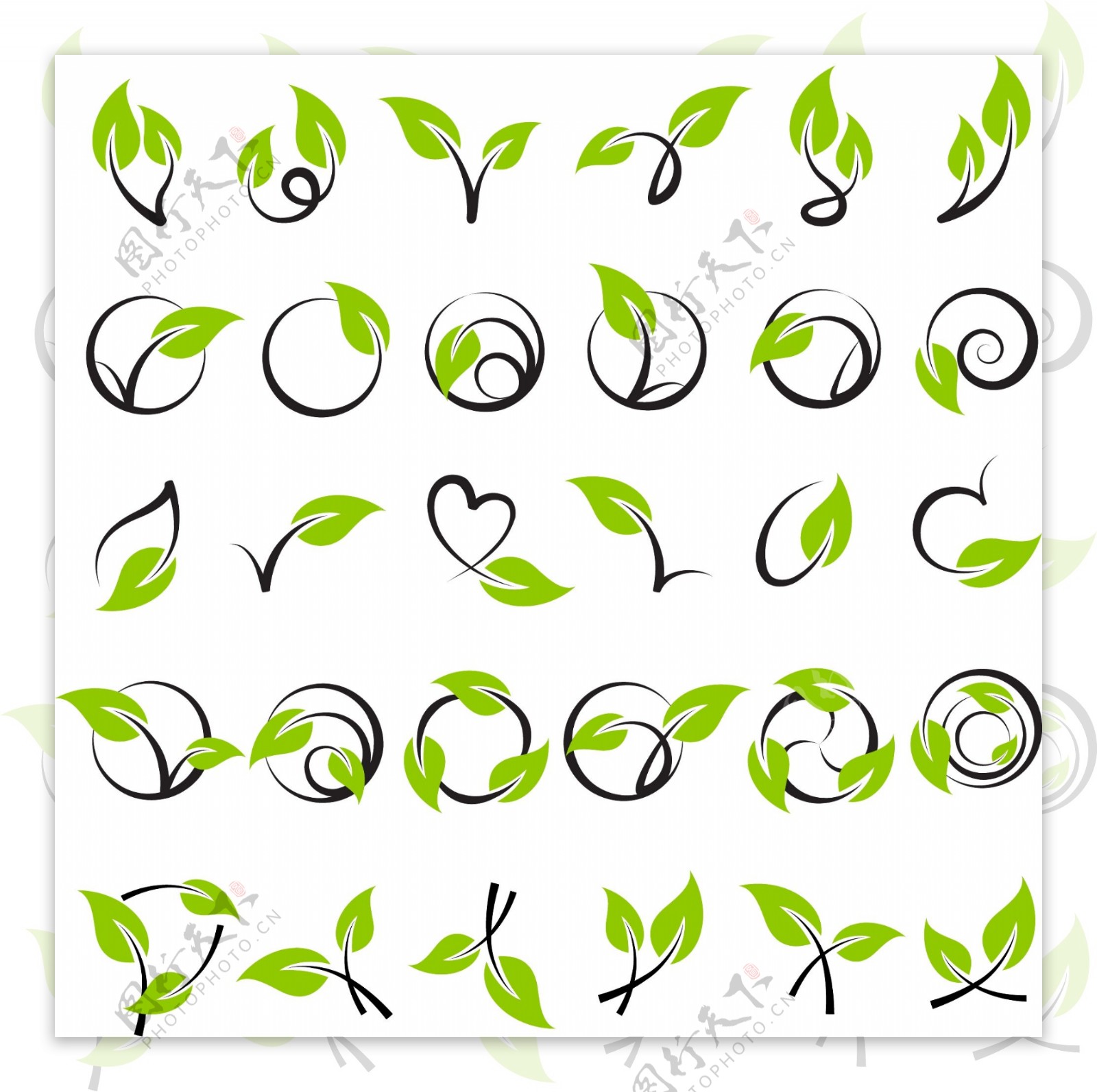 绿色藤类植物矢量图标