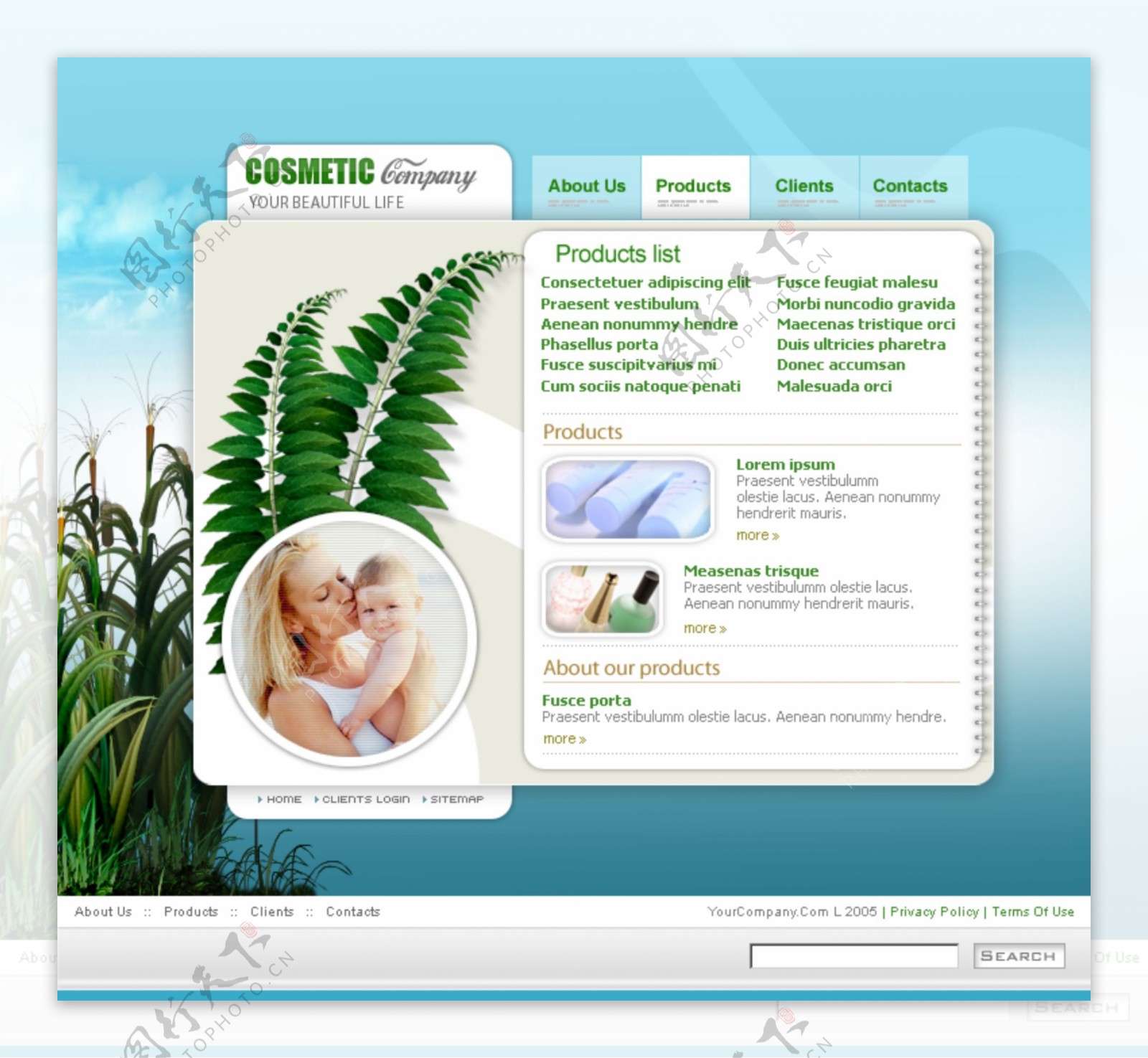 网页模板蓝色自然植物护肤婴儿图片