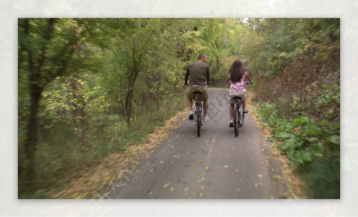 夫妇骑自行车通过树覆盖的道路2股票的录像视频免费下载