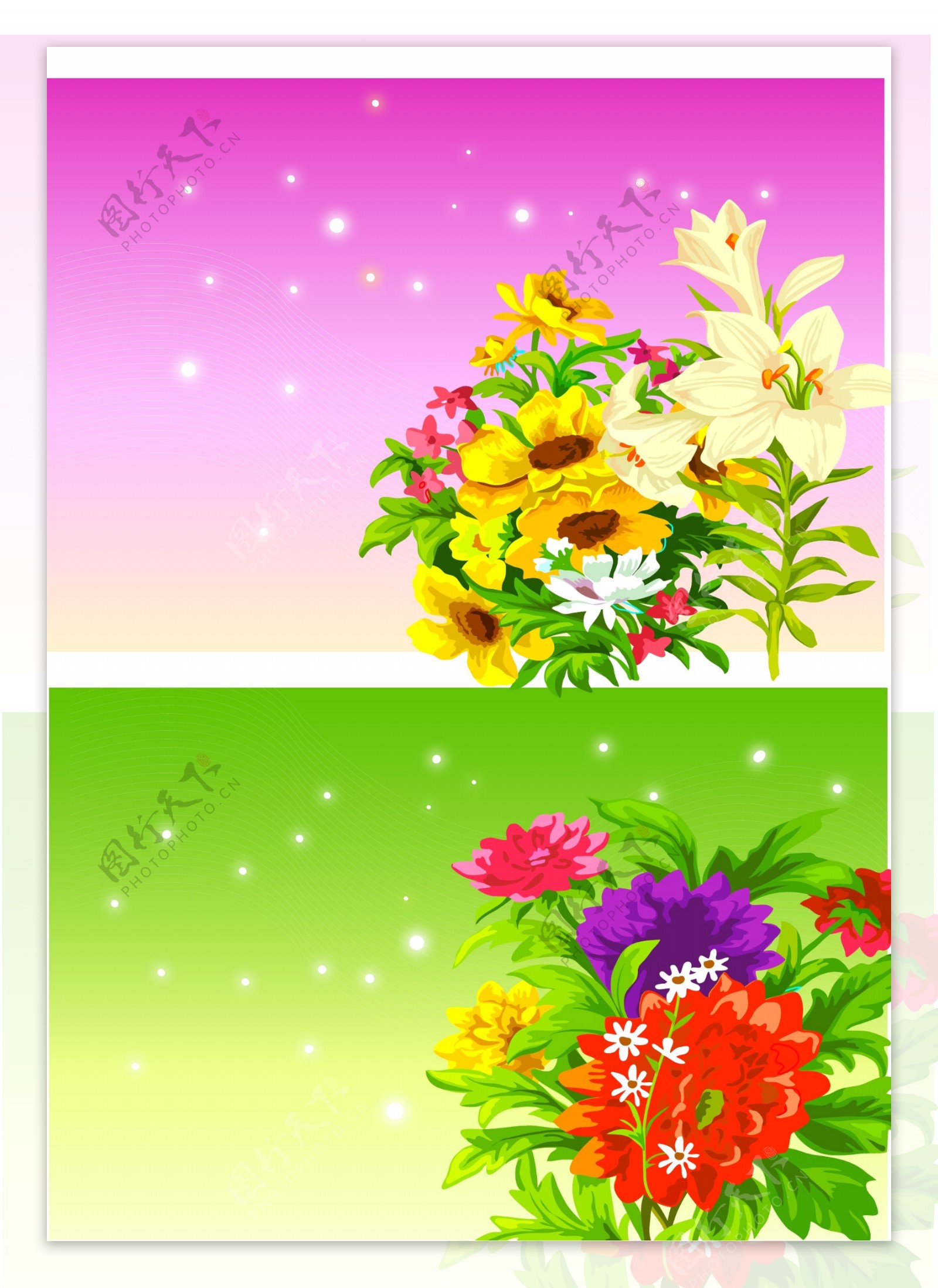 矢量鲜艳的花朵花儿图片素材7