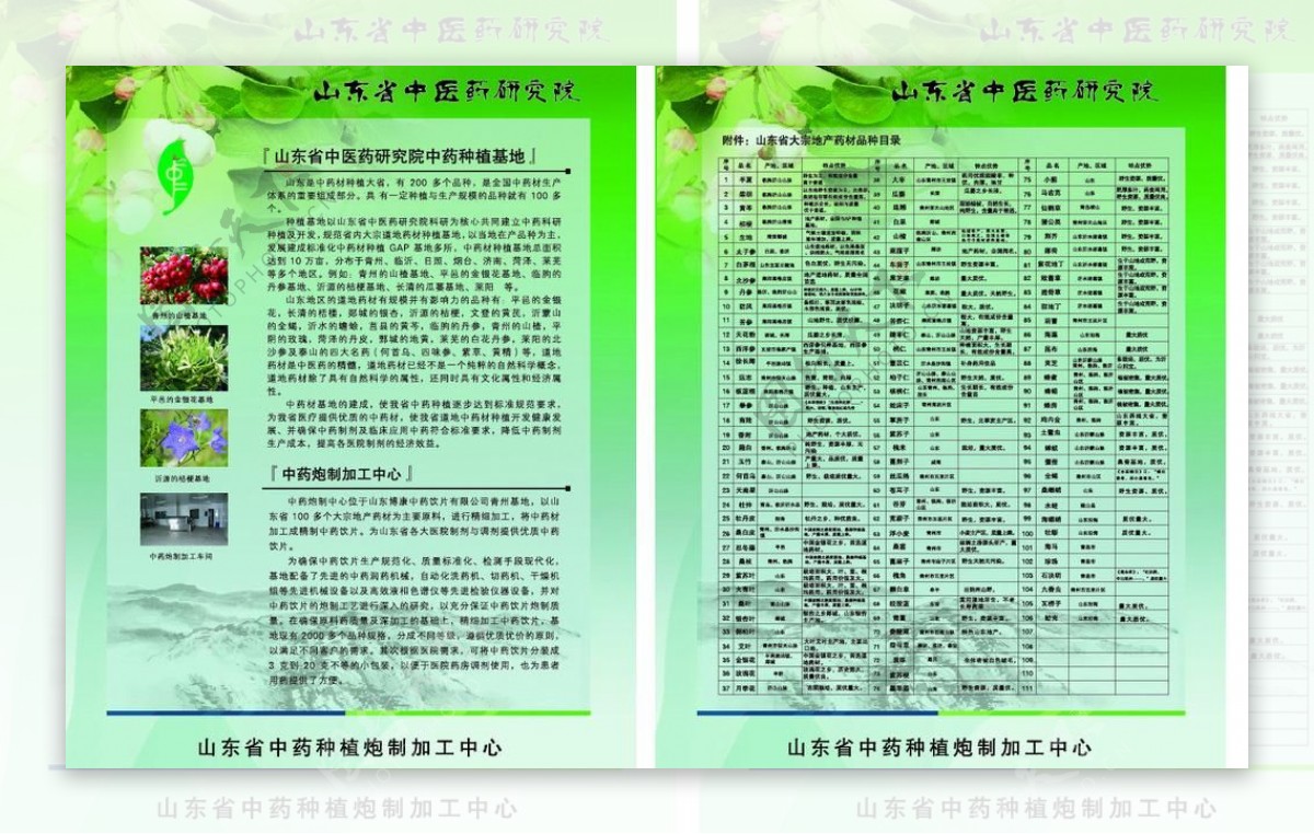 中医药单页图片