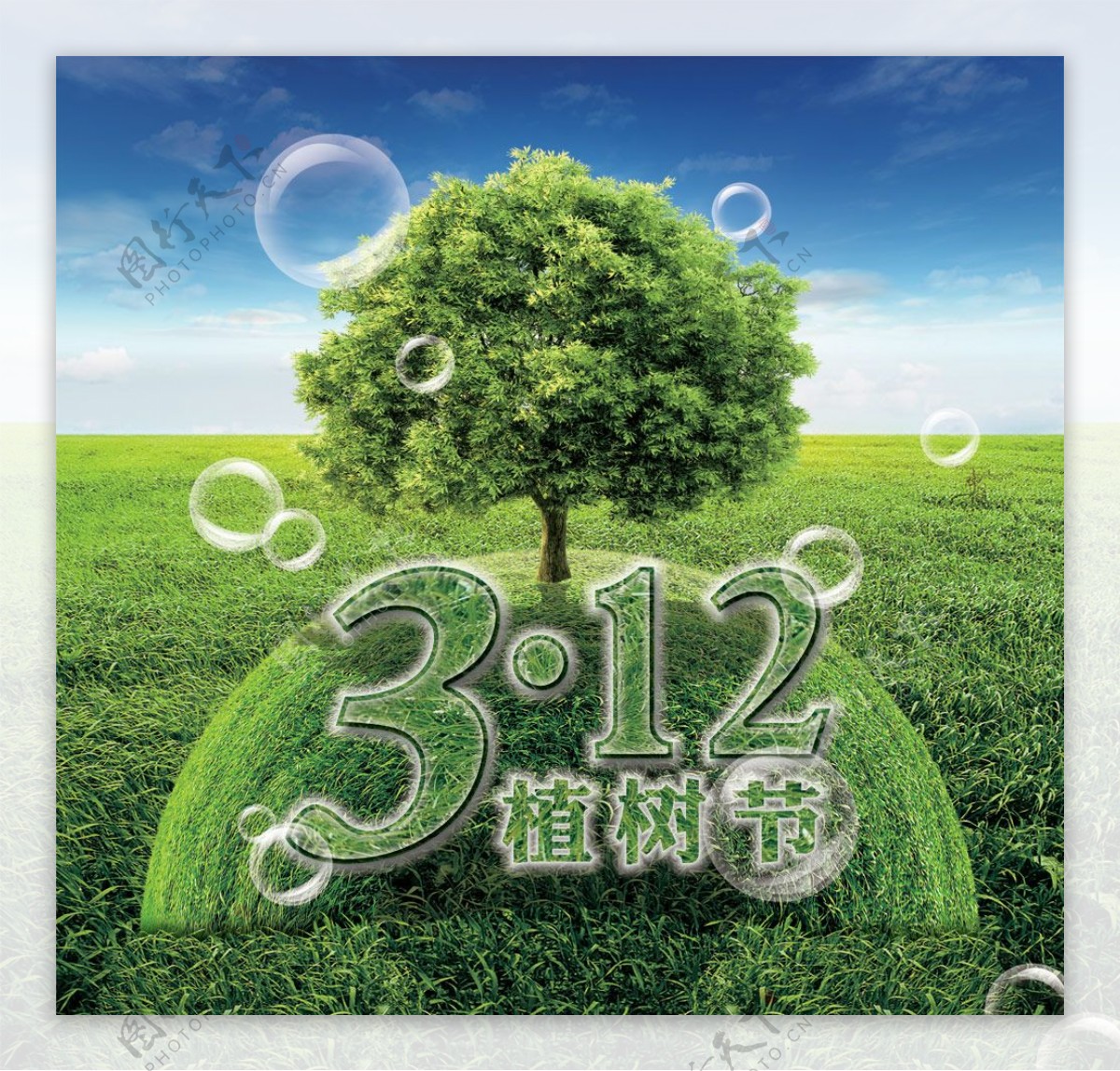 绿色春天3.12植树节PSD海报