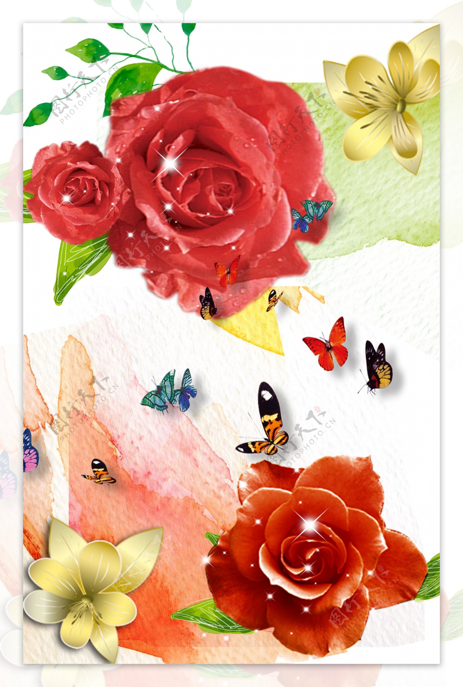 玫瑰花与蝴蝶图片