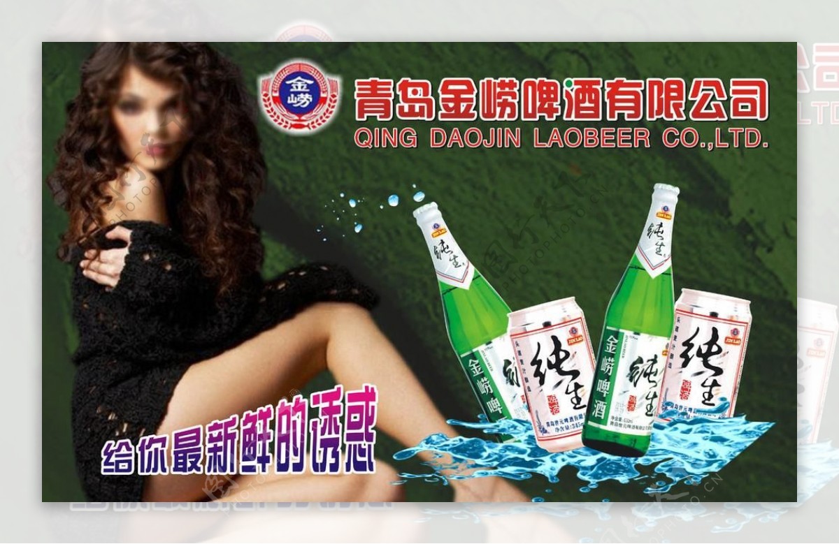 青岛金崂啤酒图片
