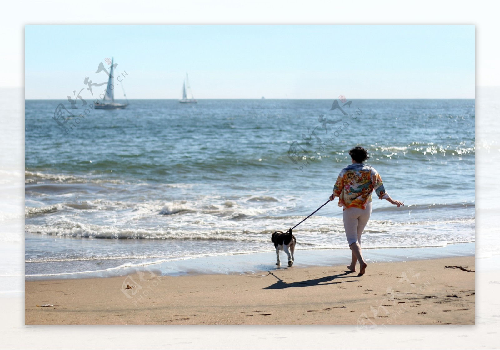 海边遛狗的人图片