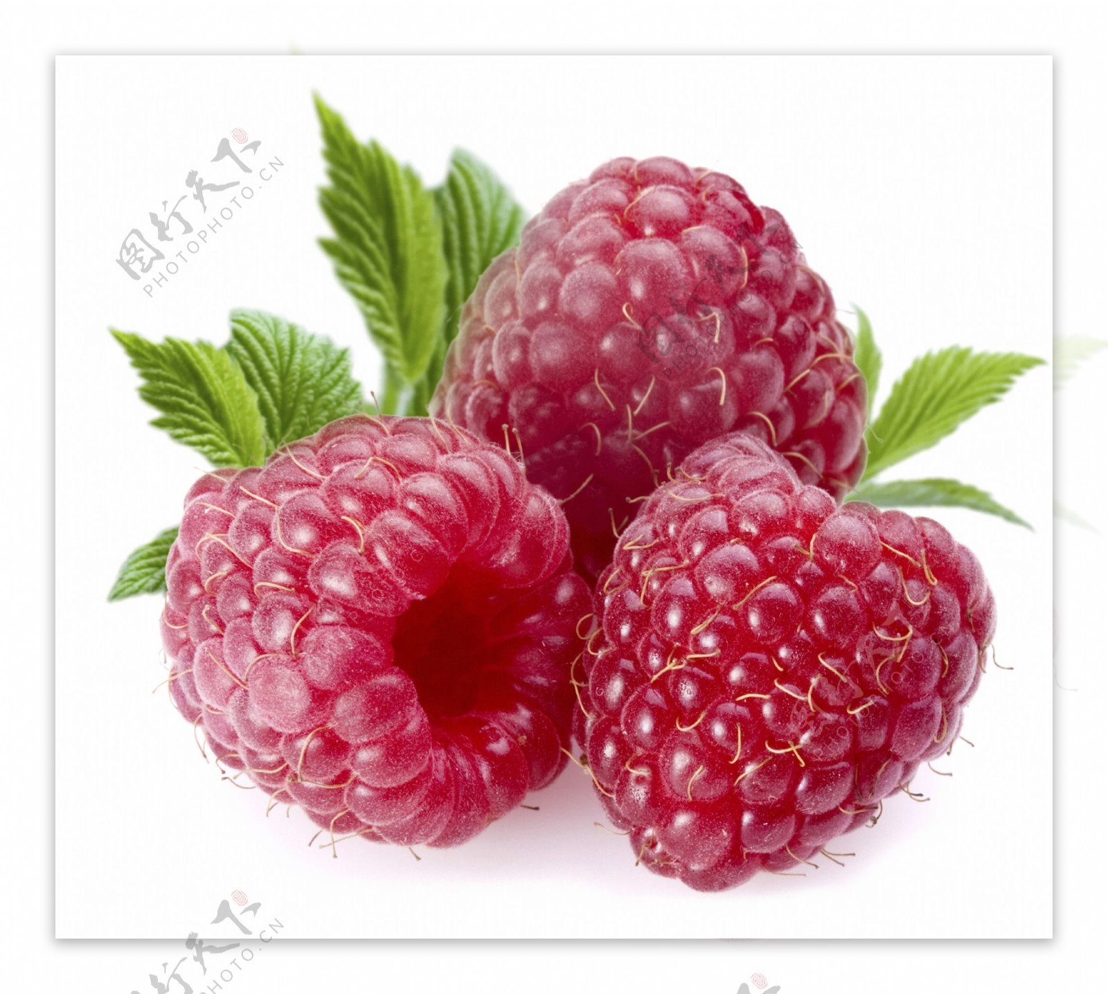 莓水果背景