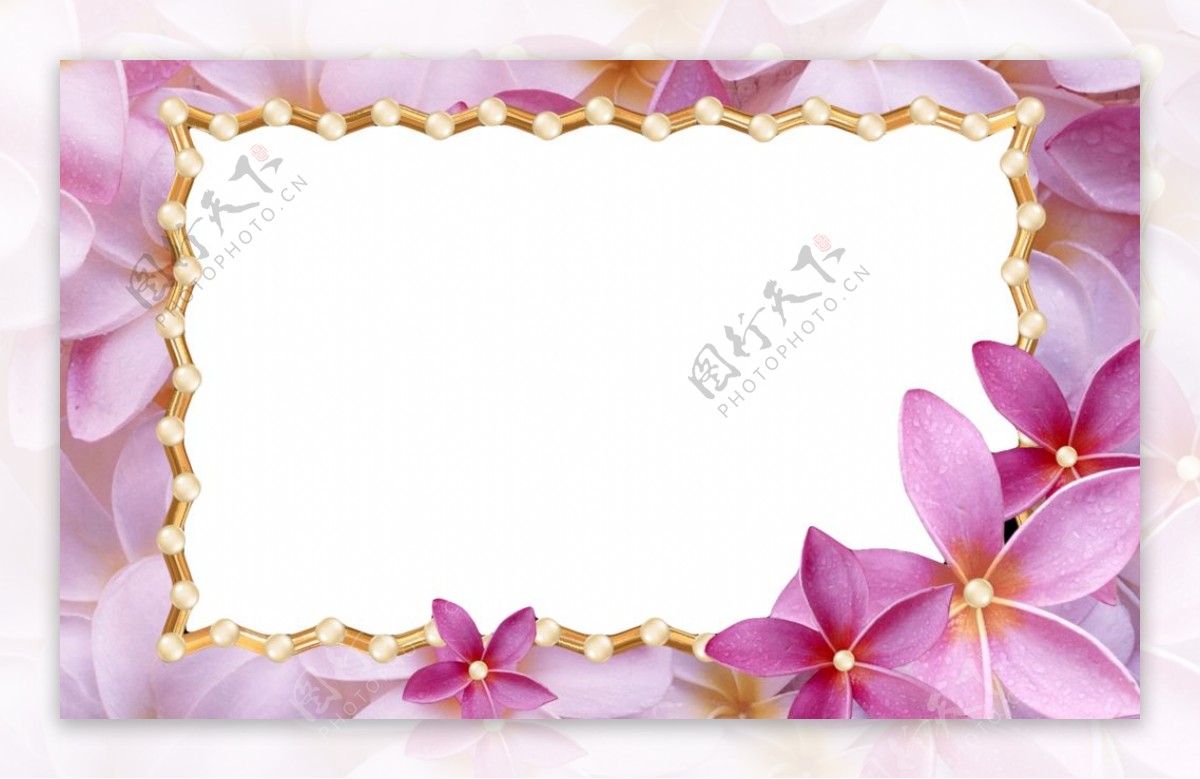 精美粉色花相框图片