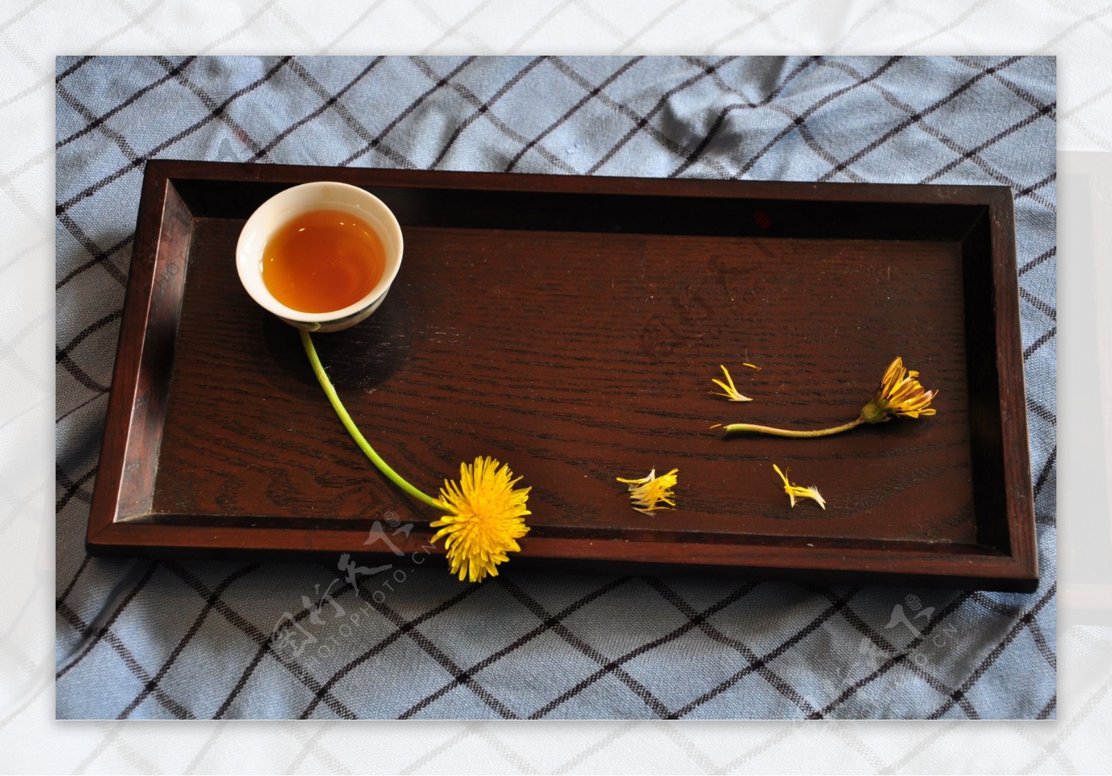 菊与茶图片