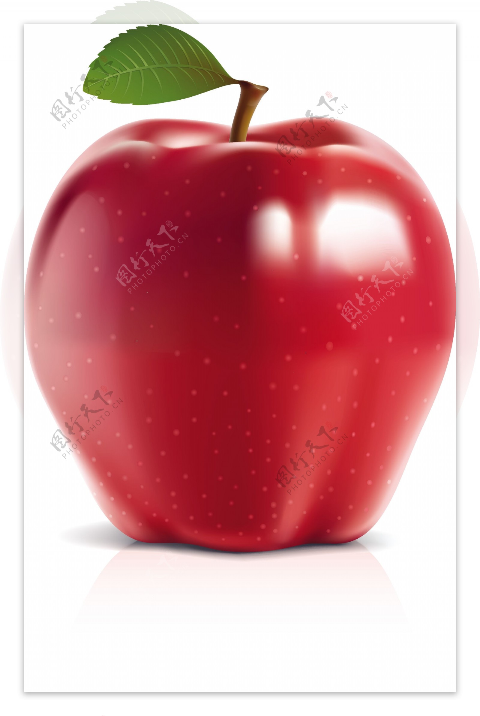 红苹果青苹果