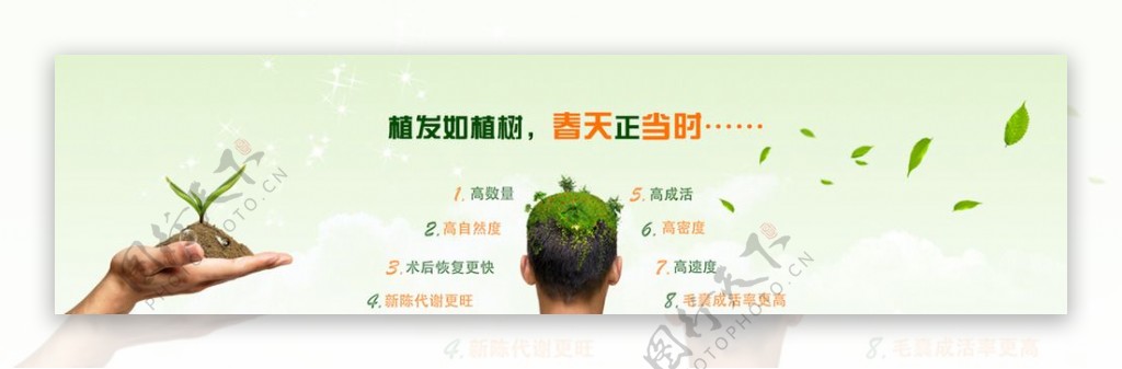 植发绿色banner图片