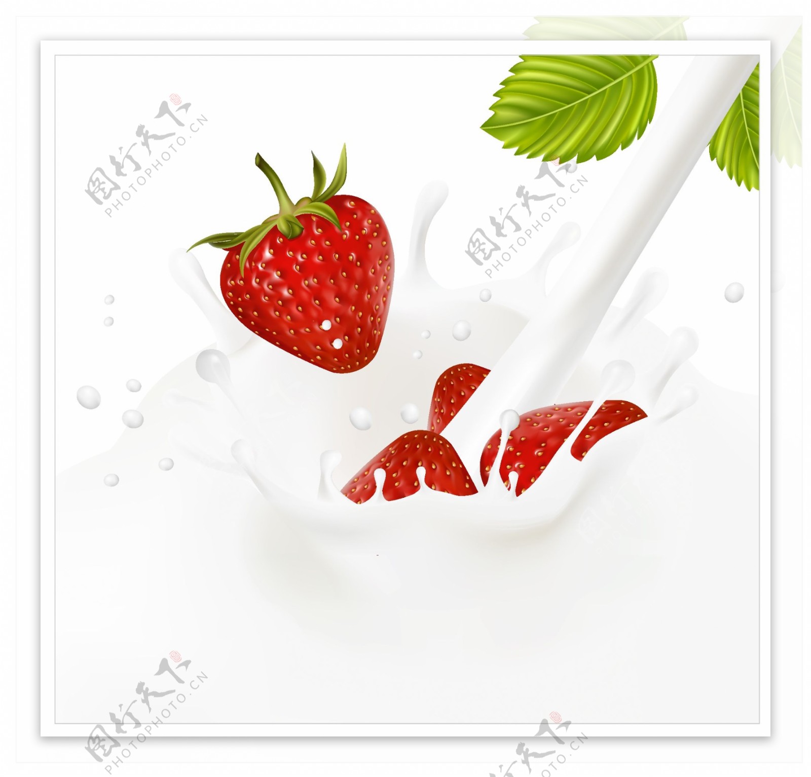 蓝莓红莓食物果蔬矢量素材
