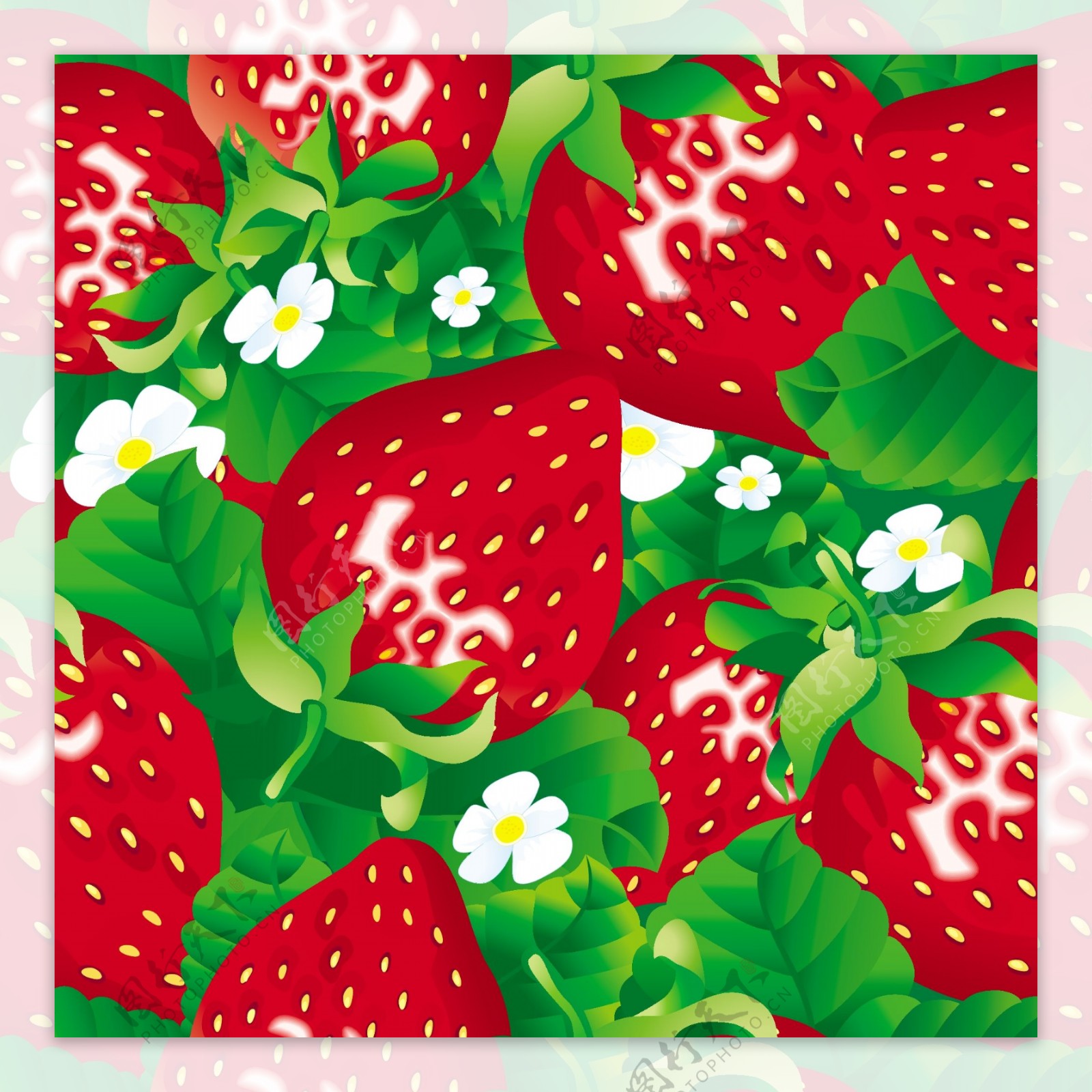 一款鲜亮的草莓背景矢量素材