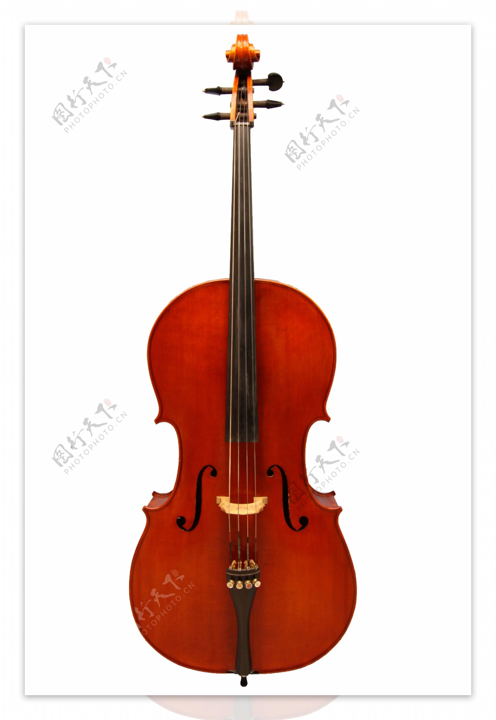 中提琴图片
