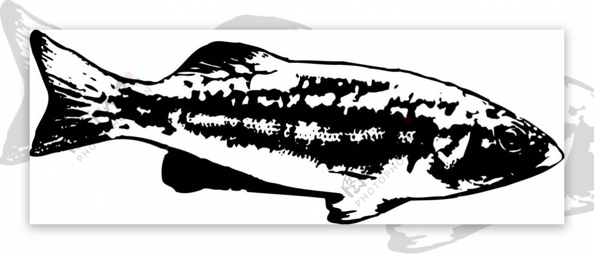 全球首席大百科水墨黑白笔刷鱼拓印