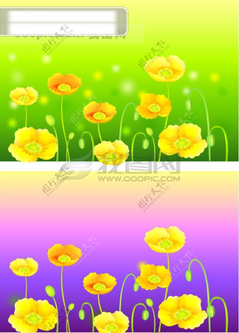 矢量鲜艳的花朵花儿图片素材2