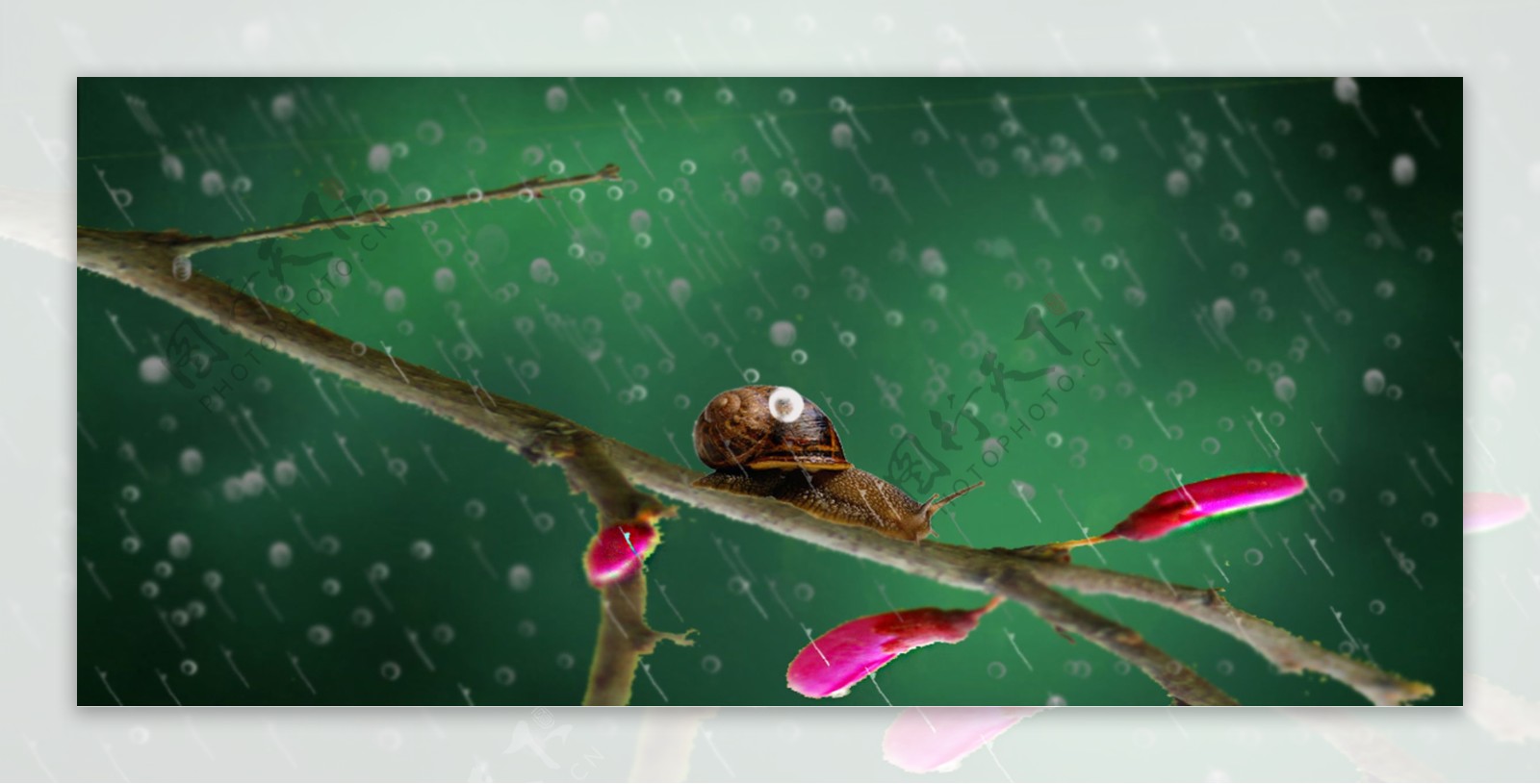 下雨效果图片