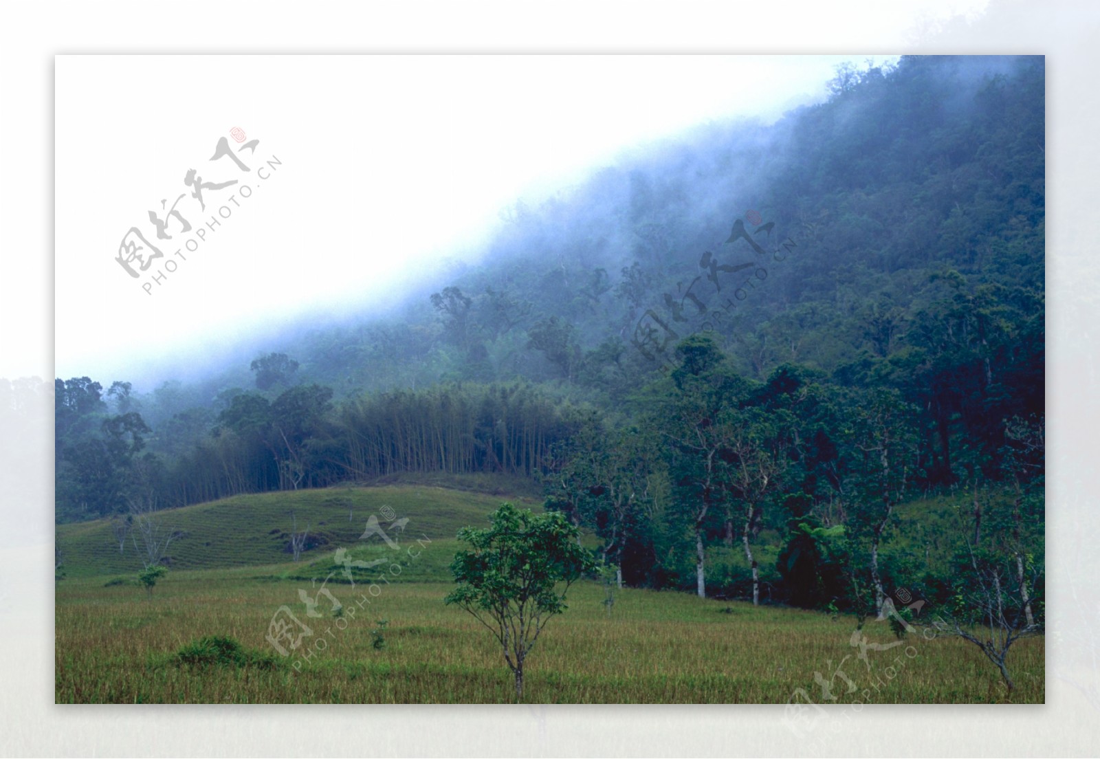 自然风景