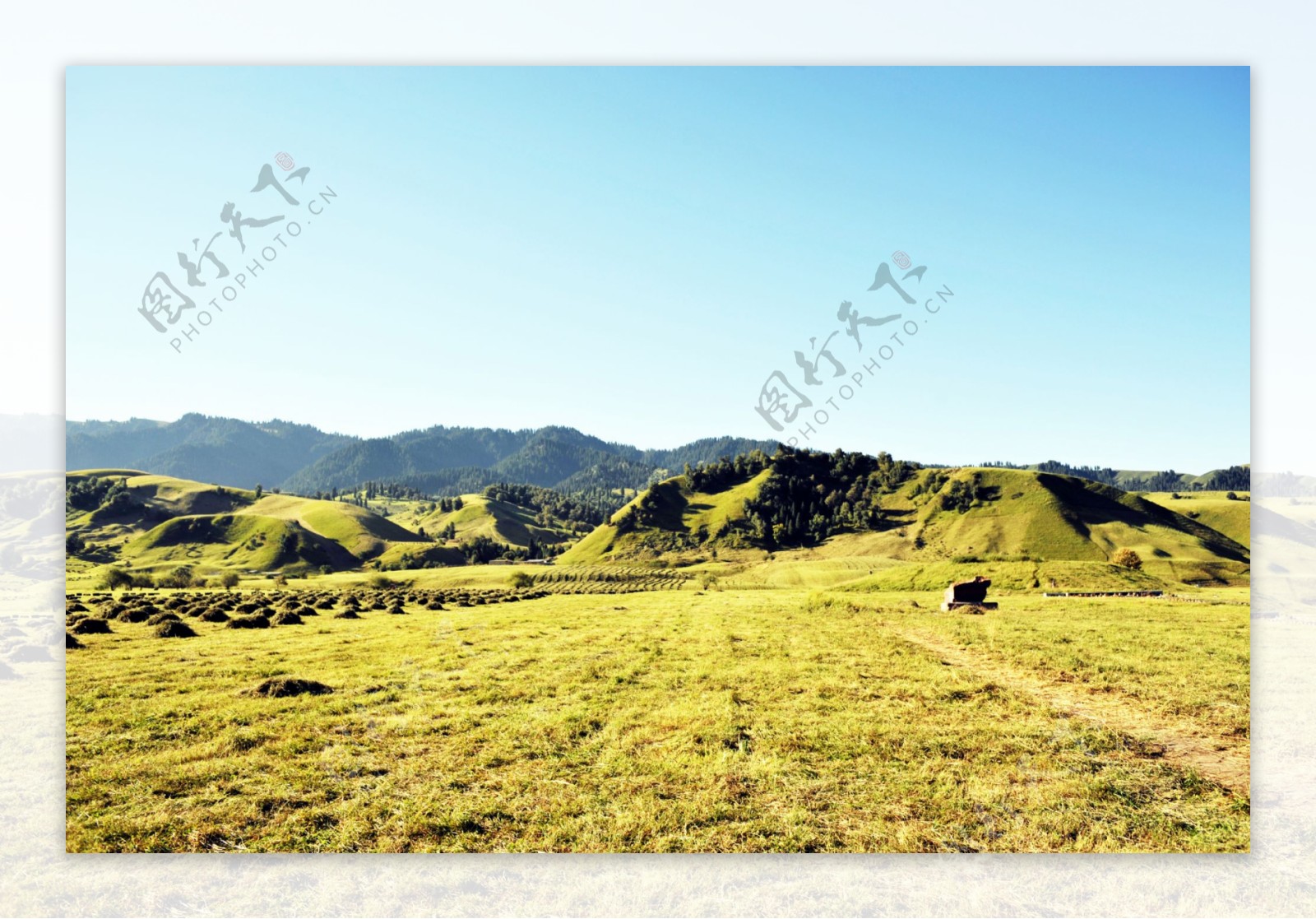 西藏草原图片