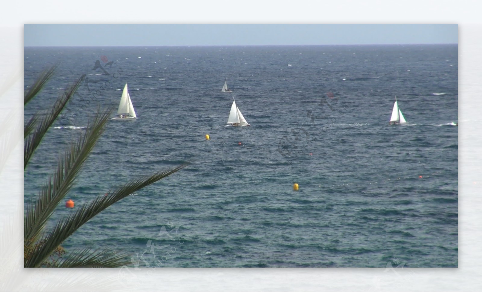 在水离岸9股票的视频片段帆船集团