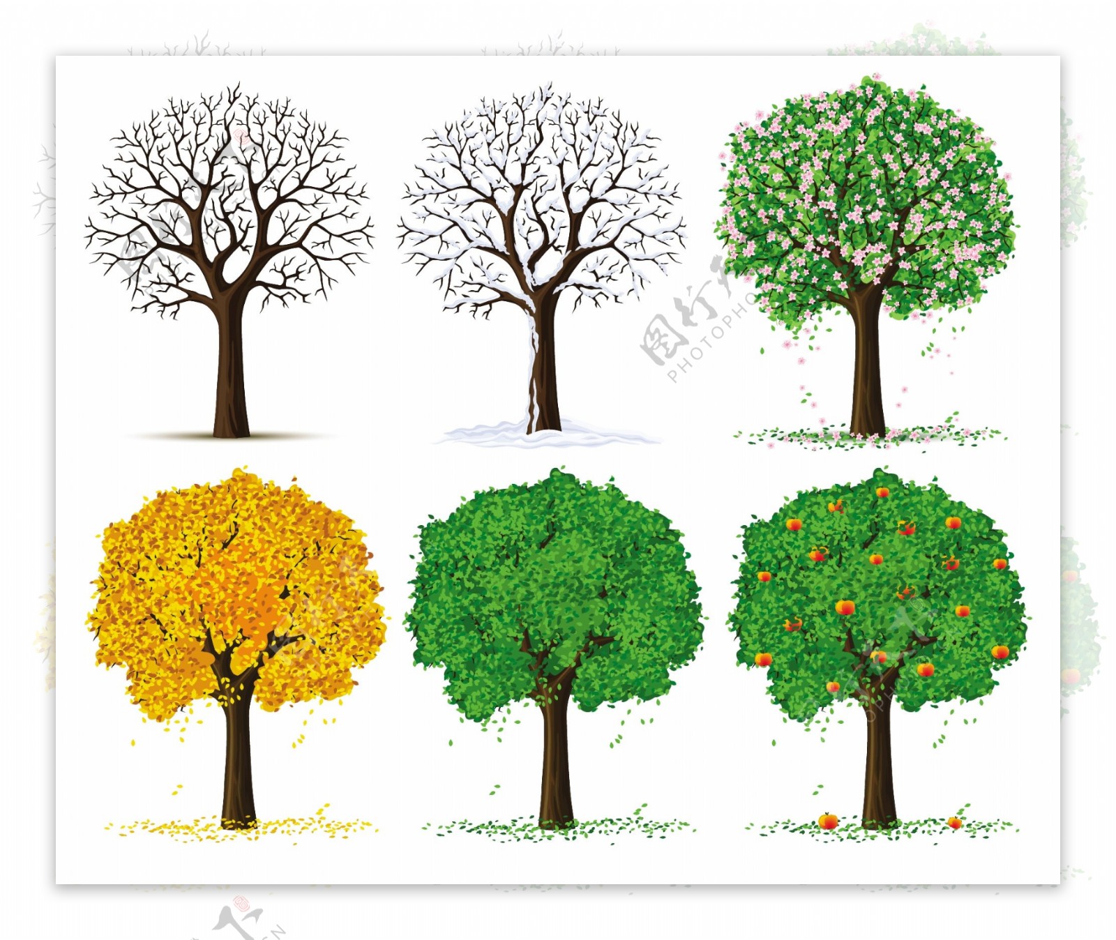 四个季节的树木矢量素材