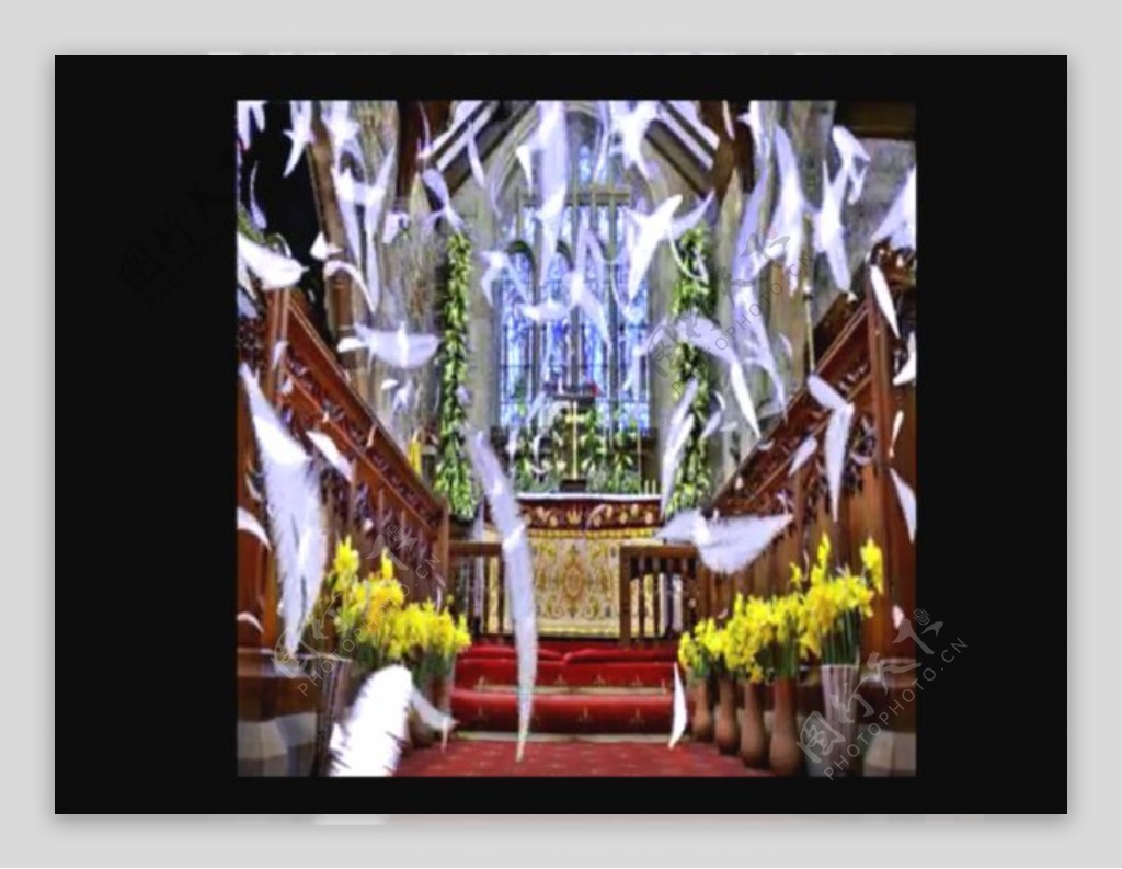 教堂羽毛婚礼背景视频