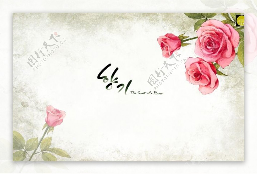水彩花卉背景PSD分层模板韩式风格