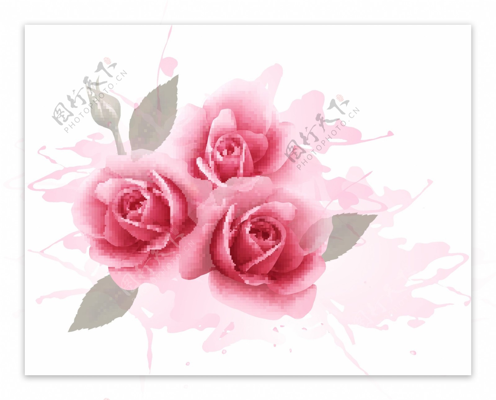 粉色玫瑰水彩背景矢量素材