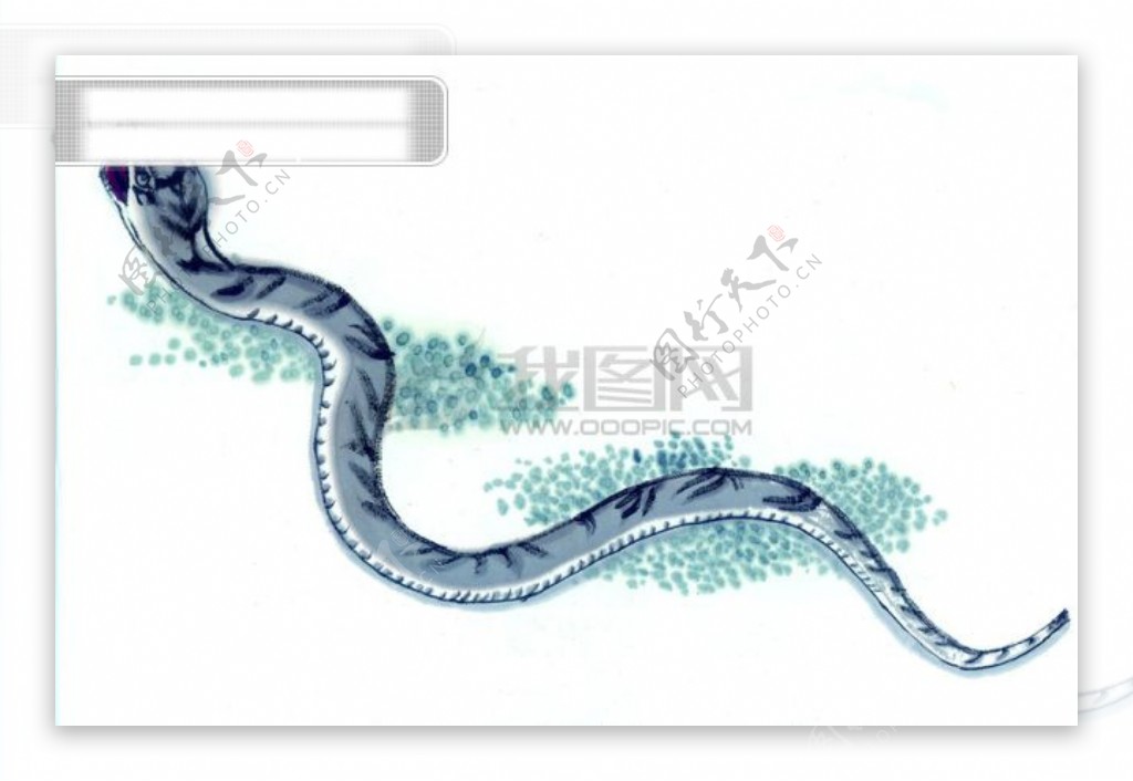 动物水牛黄牛老虎泥鳅蛇马老鼠中华艺术绘画