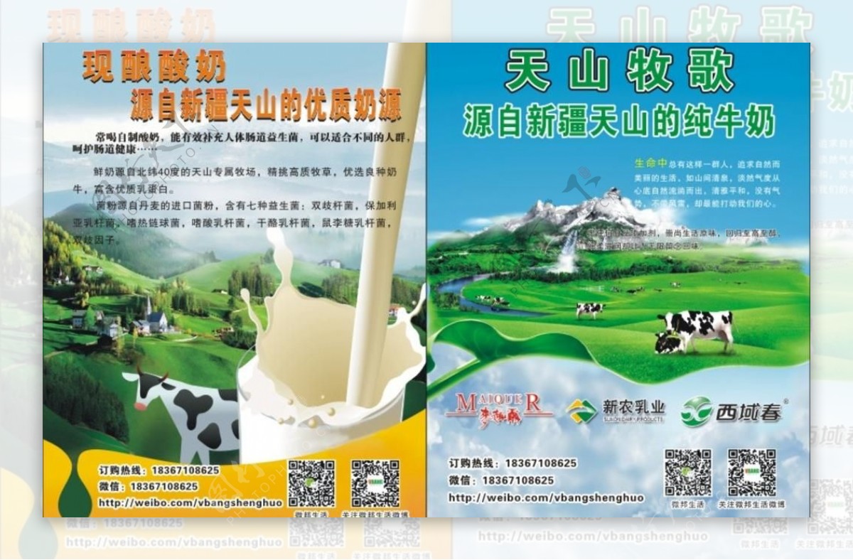 新疆牛奶宣传彩页