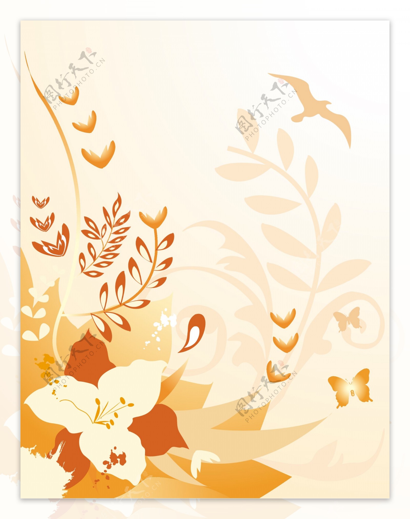 橙色飞鸟枝条和花朵插画