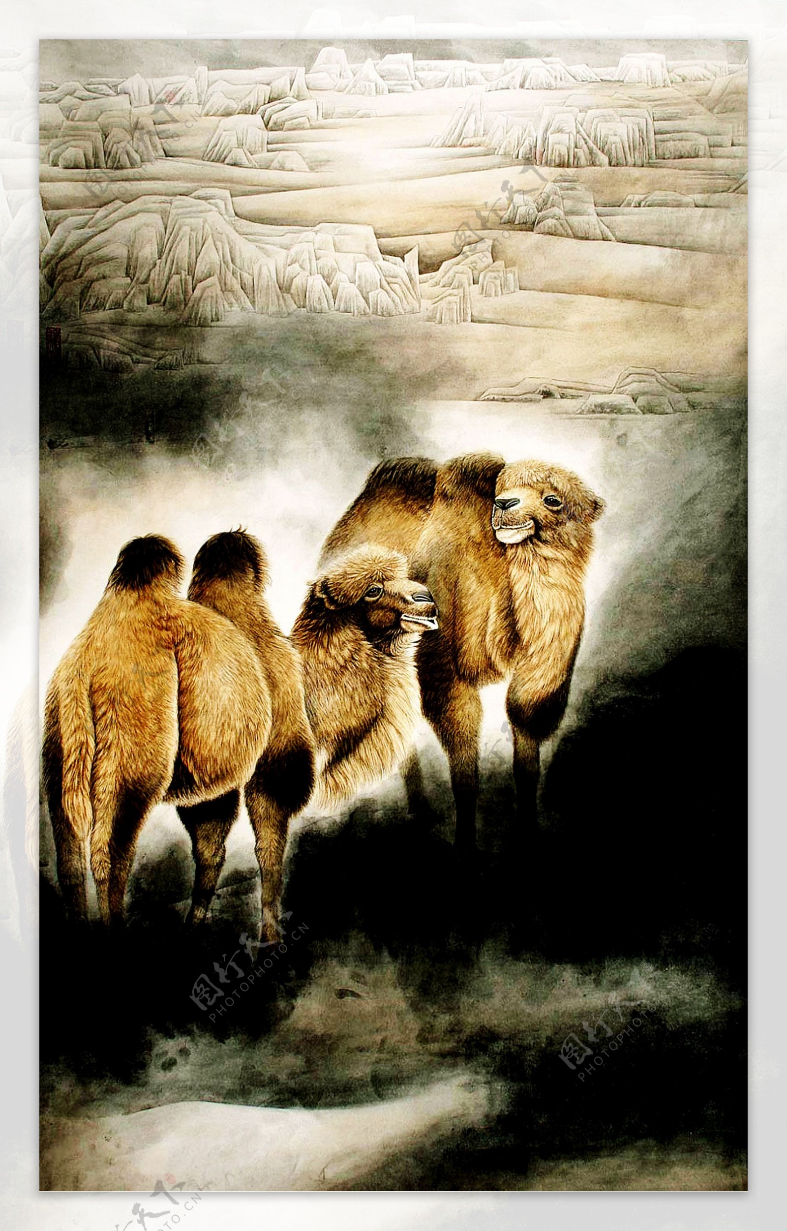 骆驼图图片