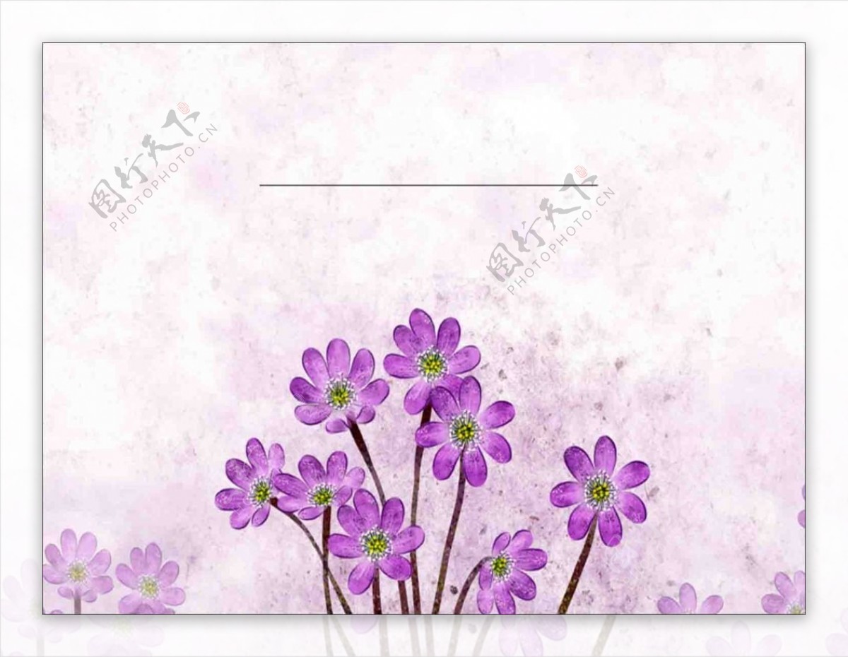 紫色花朵ppt模板