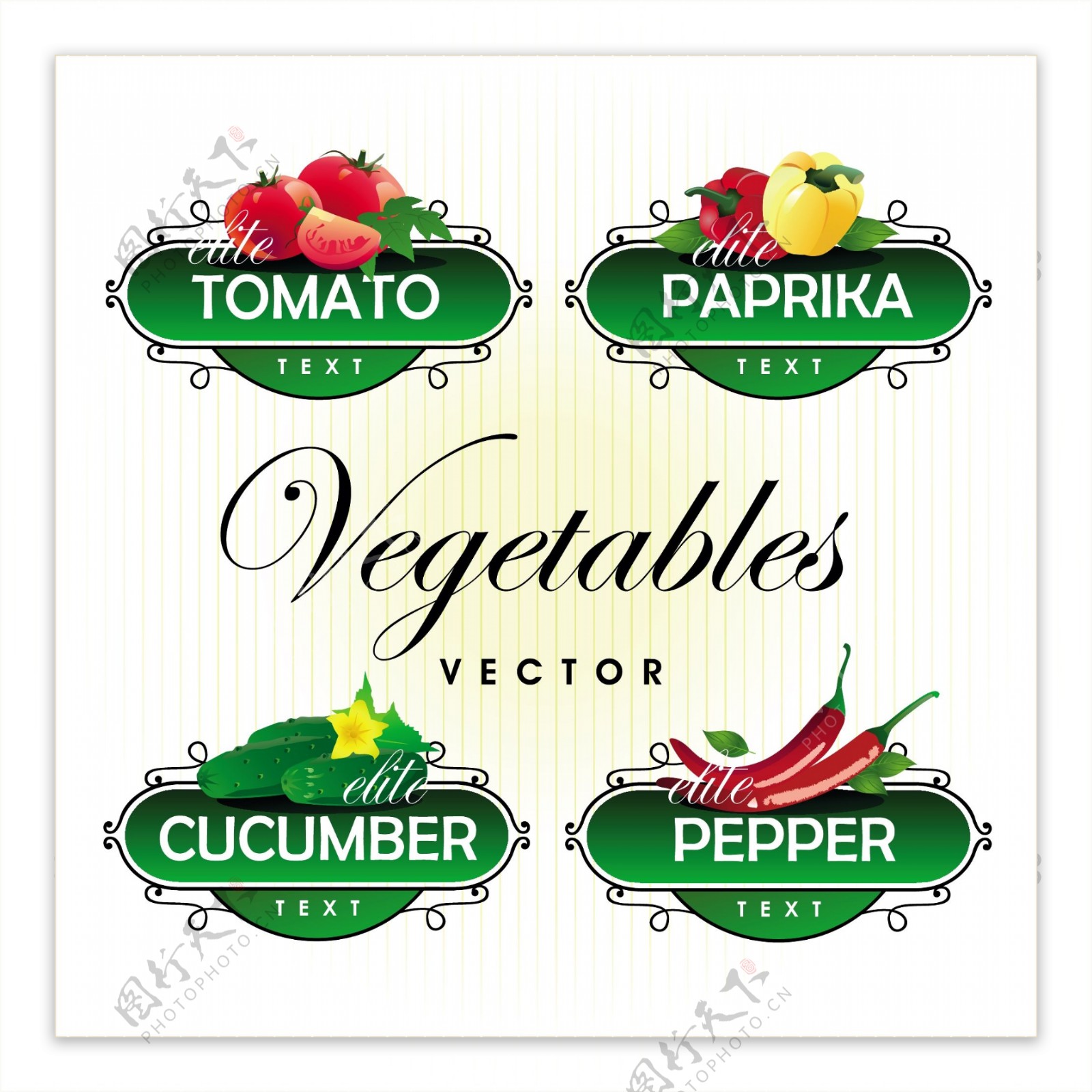 新鲜的水果和蔬菜的标签向量01