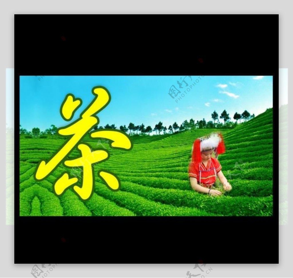 茶文化茶庄展板图片