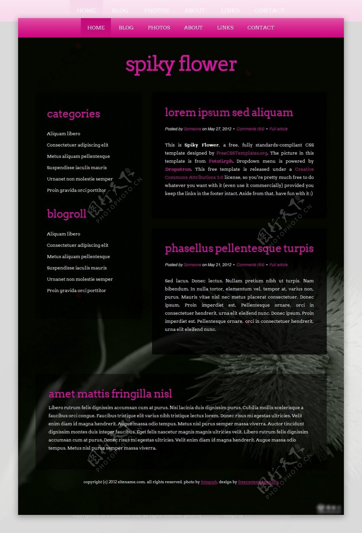 黑色网页模板设计