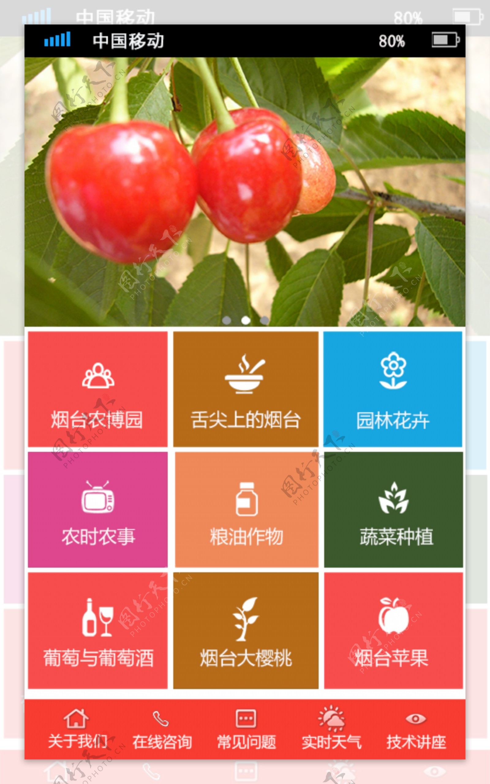 食品果蔬公司APP功能首页UI设计