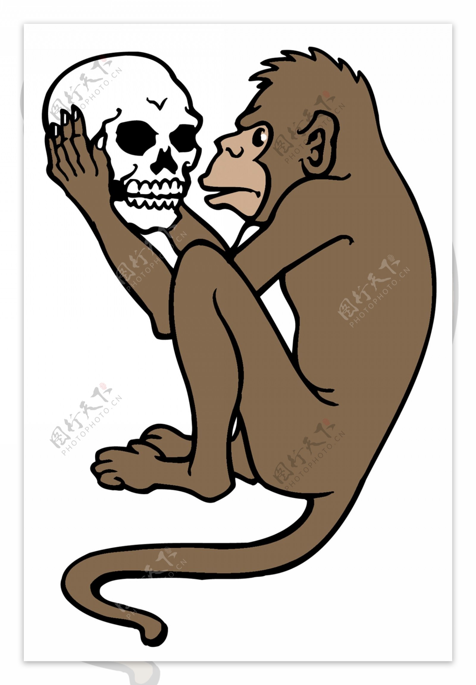 猴子纹身
