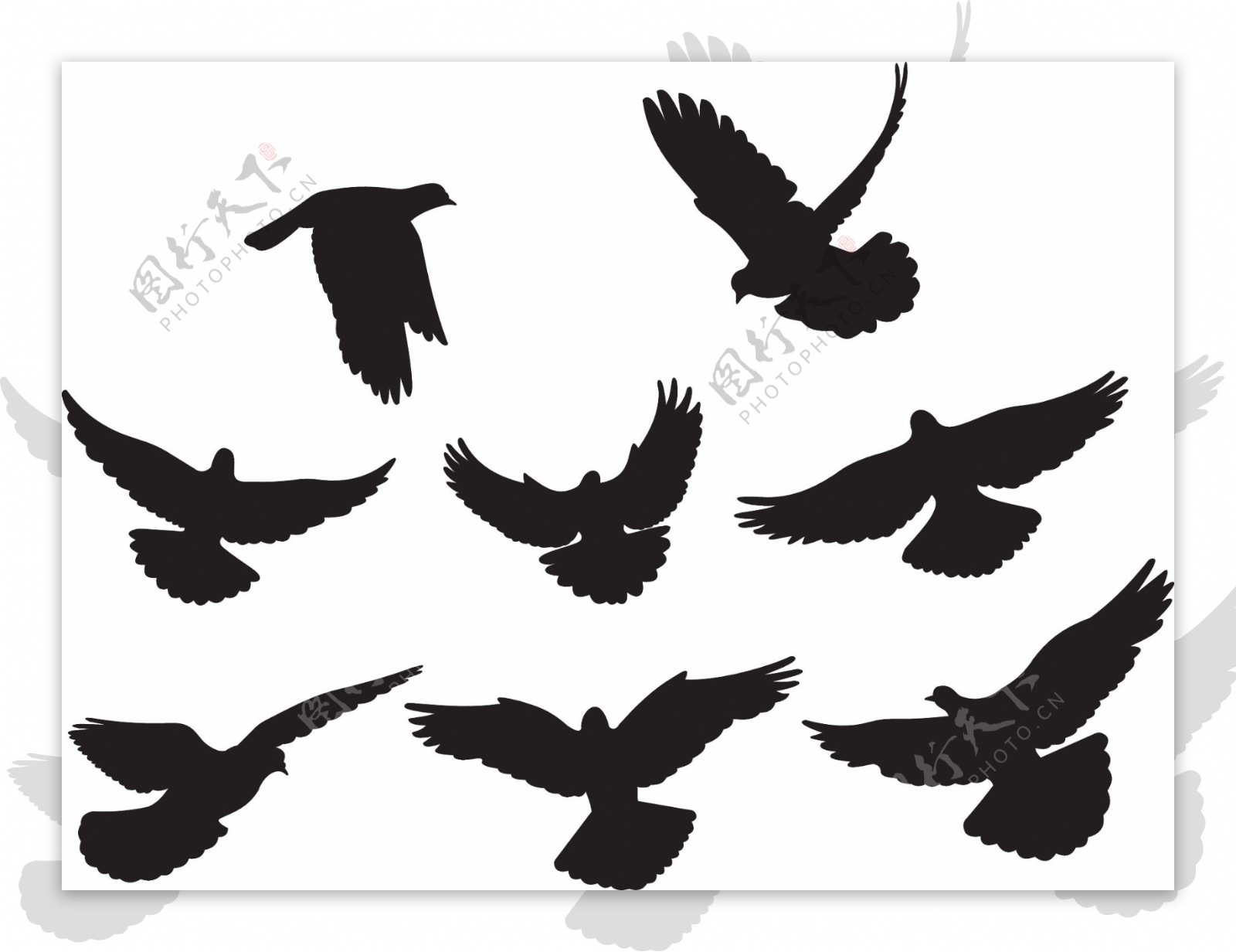黑色和白色的鸽子或剪影矢量素材