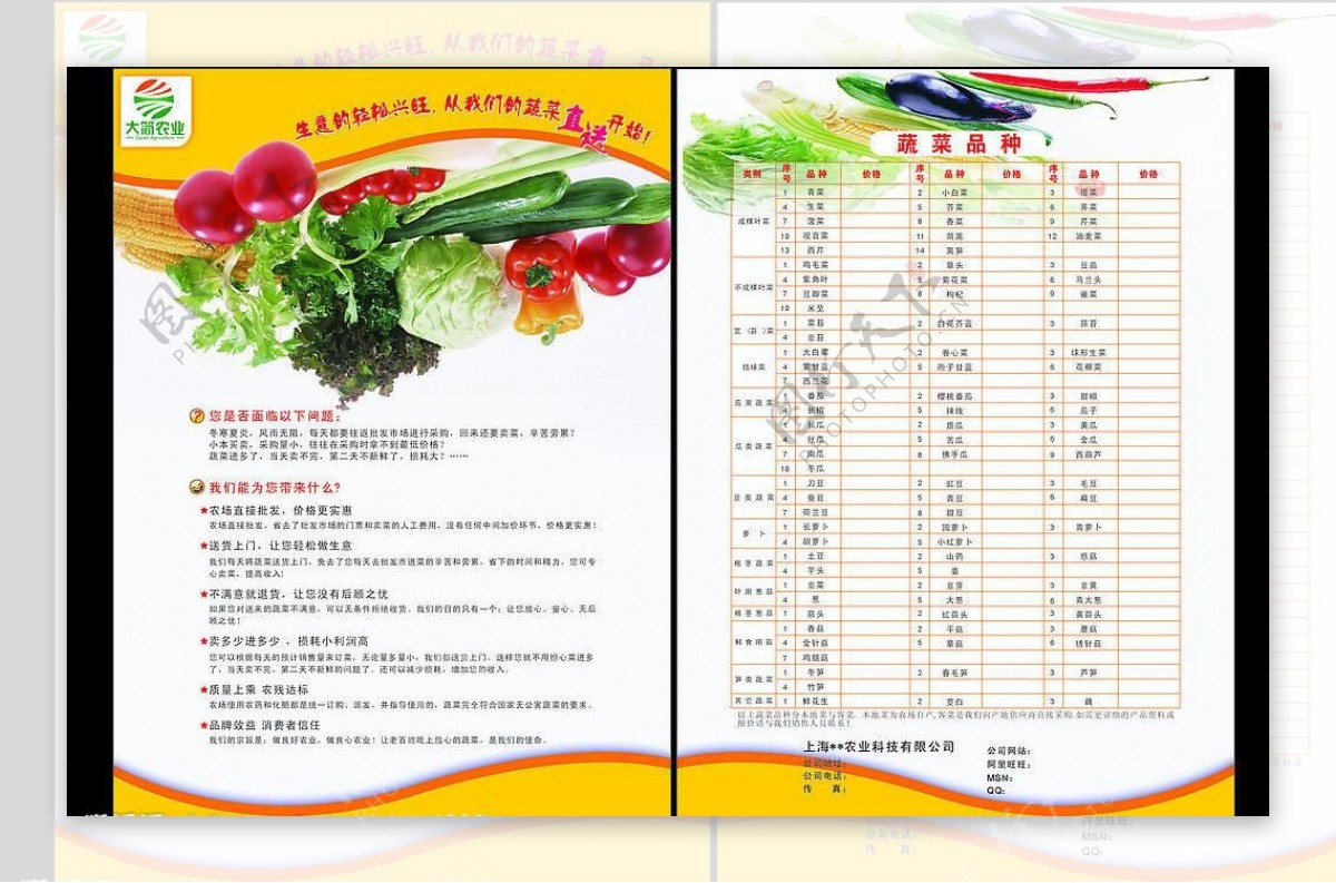 蔬菜彩页设计图片