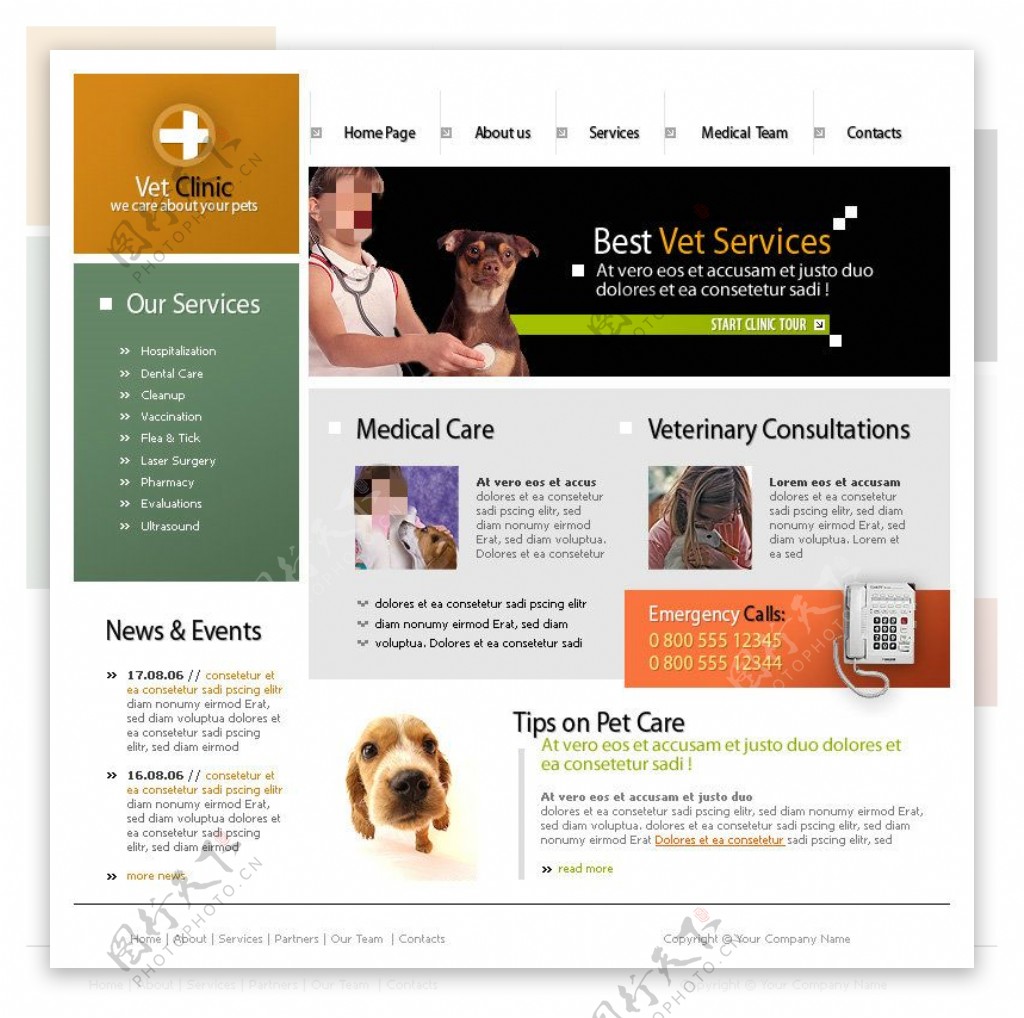 宠物医院网站psd模板