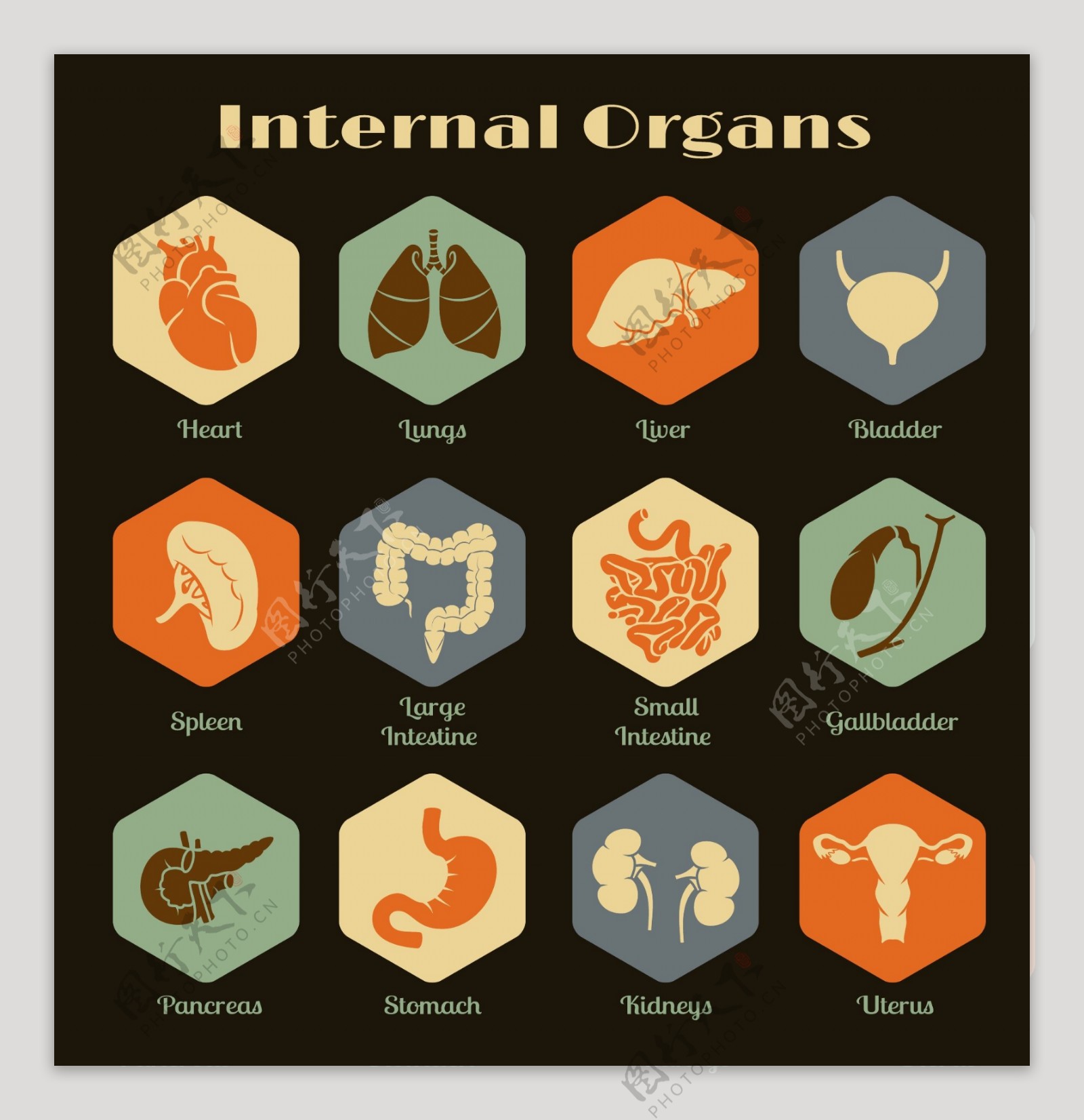12个复古内脏器官图标设计矢量素材