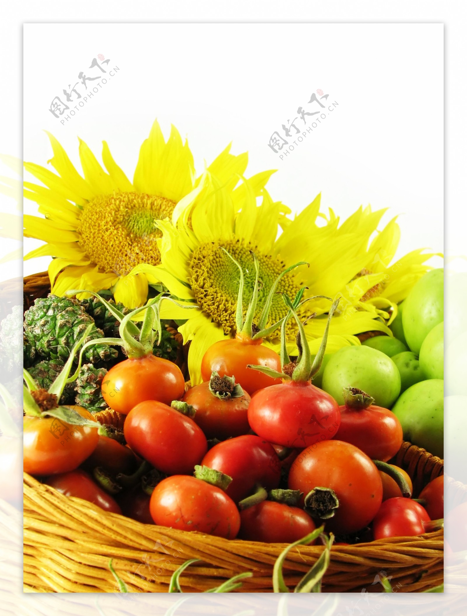 小西红柿蔬菜图片