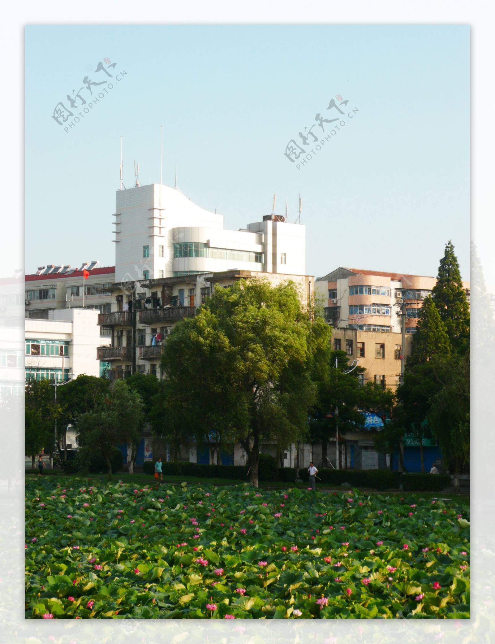 城市风景图片