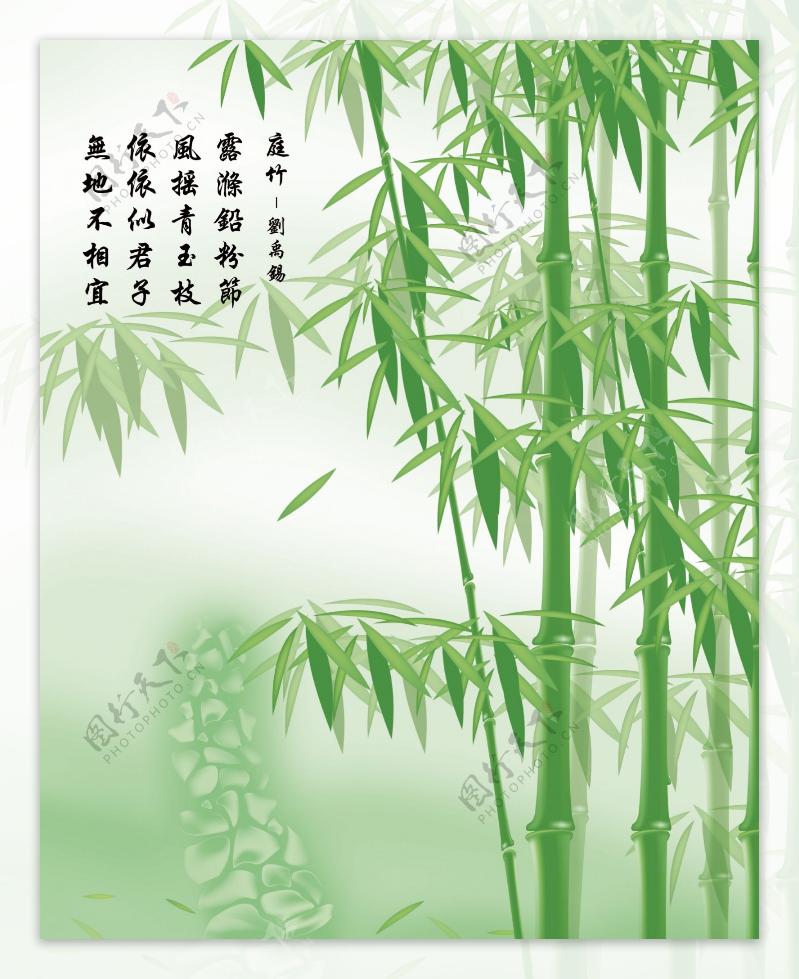 庭竹图片