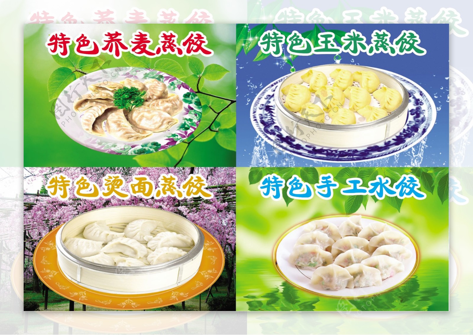 各种蒸饺图片