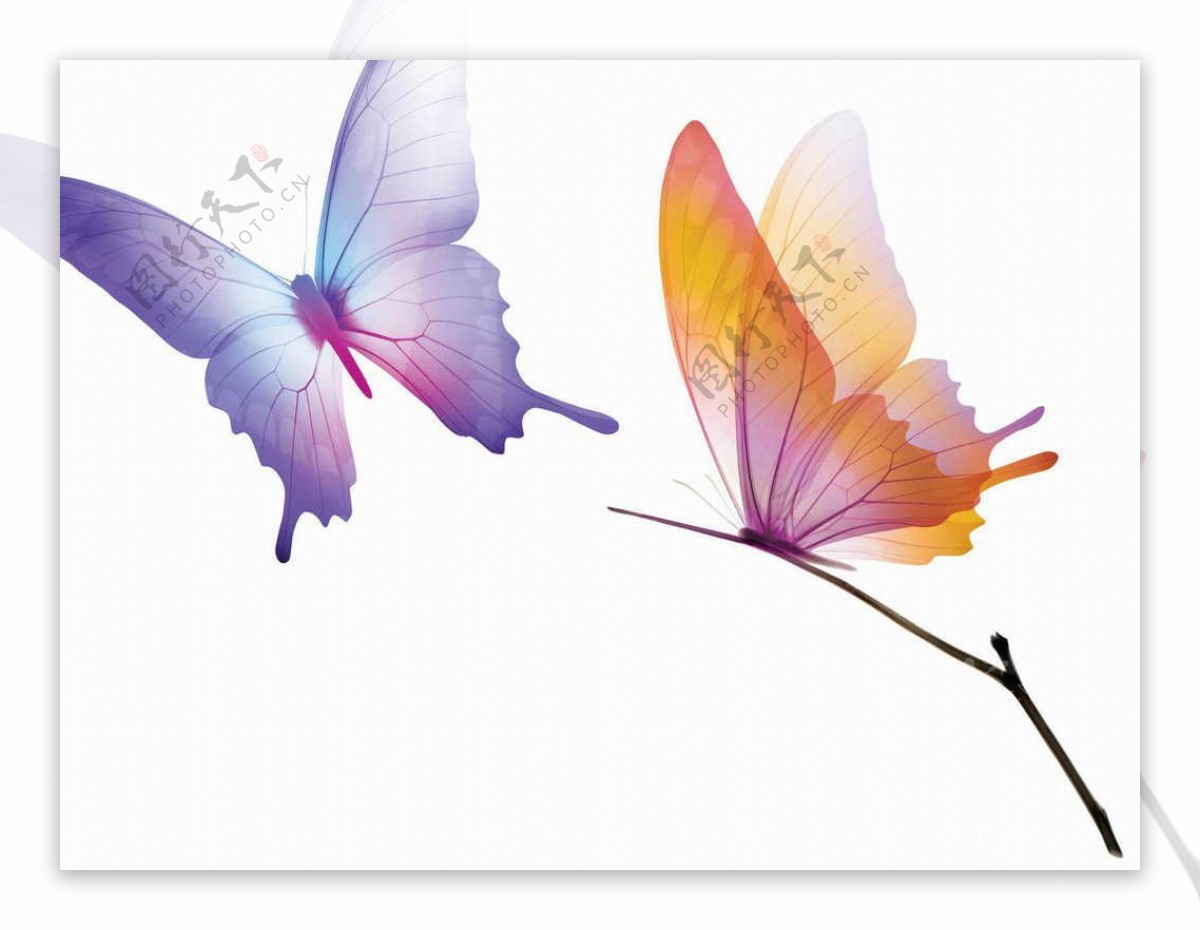 飞舞的蝴蝶图片素材免费下载 - 觅知网