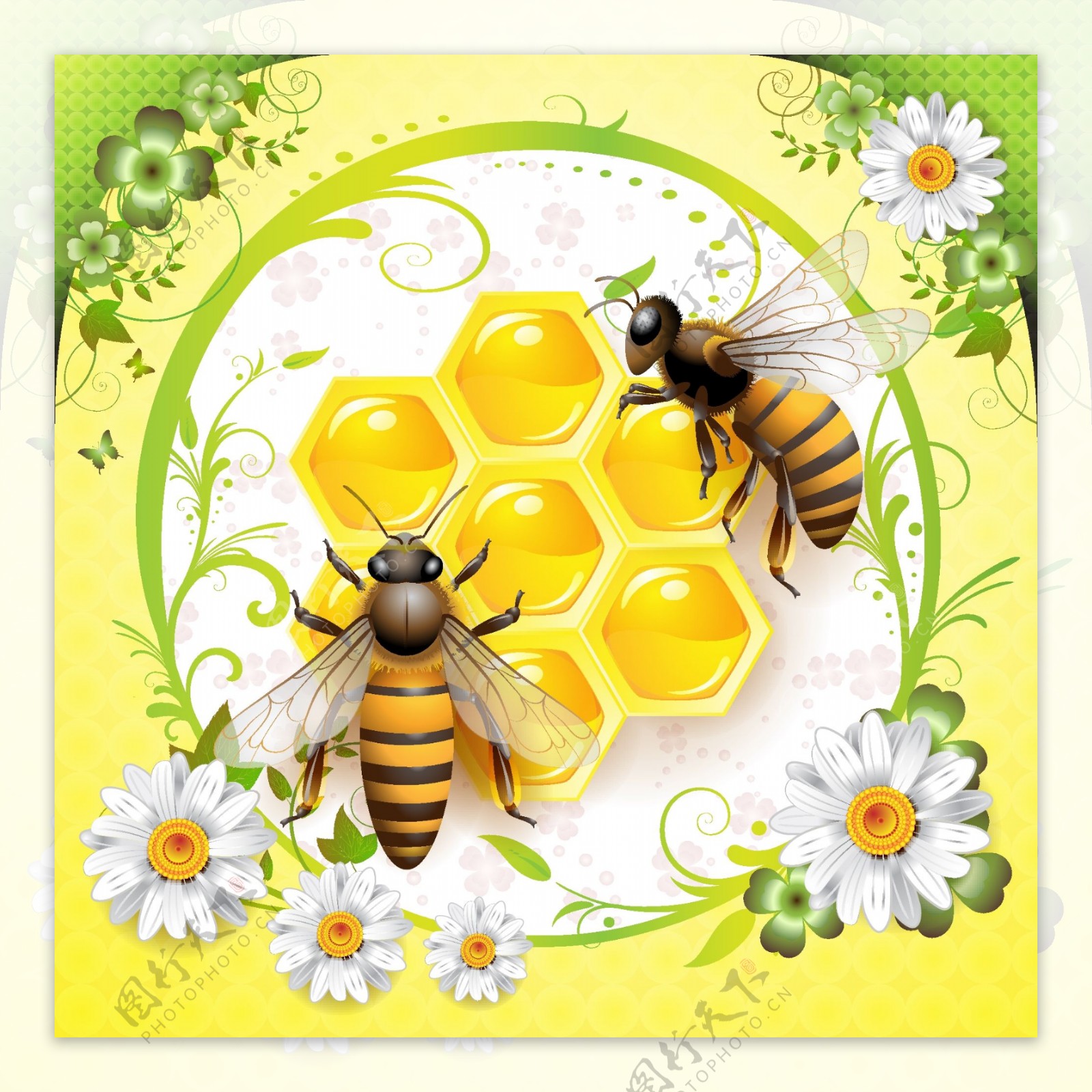蜜蜂采蜜