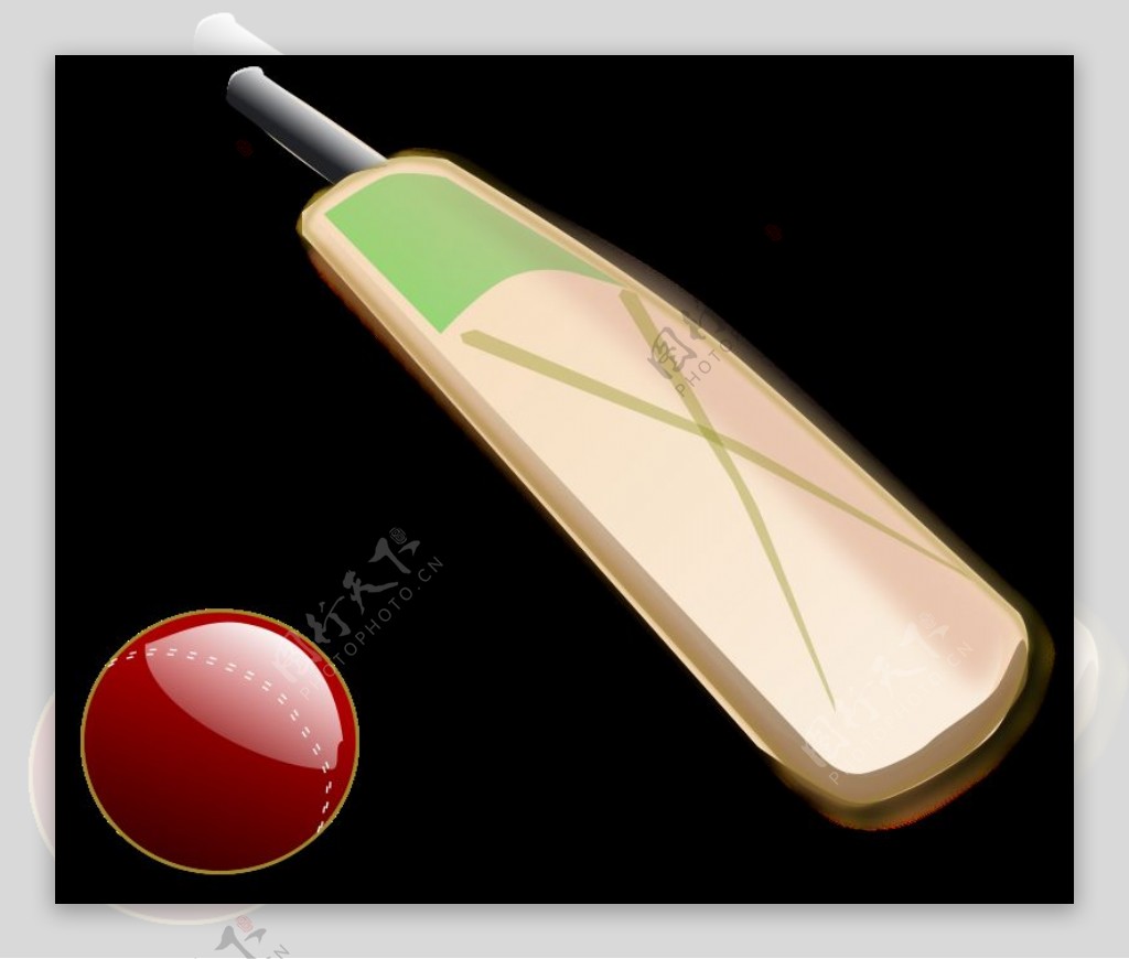 cricket02